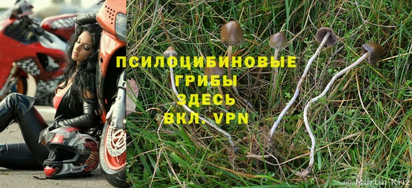стаф Бронницы