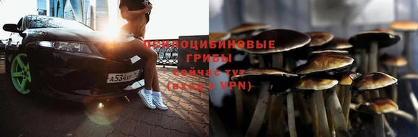 стаф Бронницы