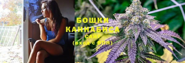 не бодяженный Бородино