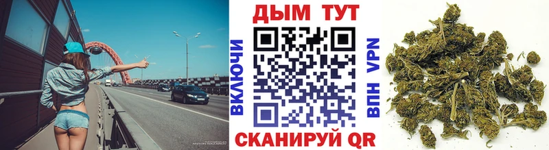 Купить где Малая Вишера Конопля индика